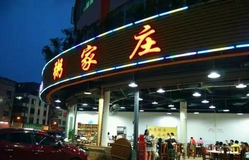 吃科学套餐 喝纯净水 奶牛过上“定制生活”
