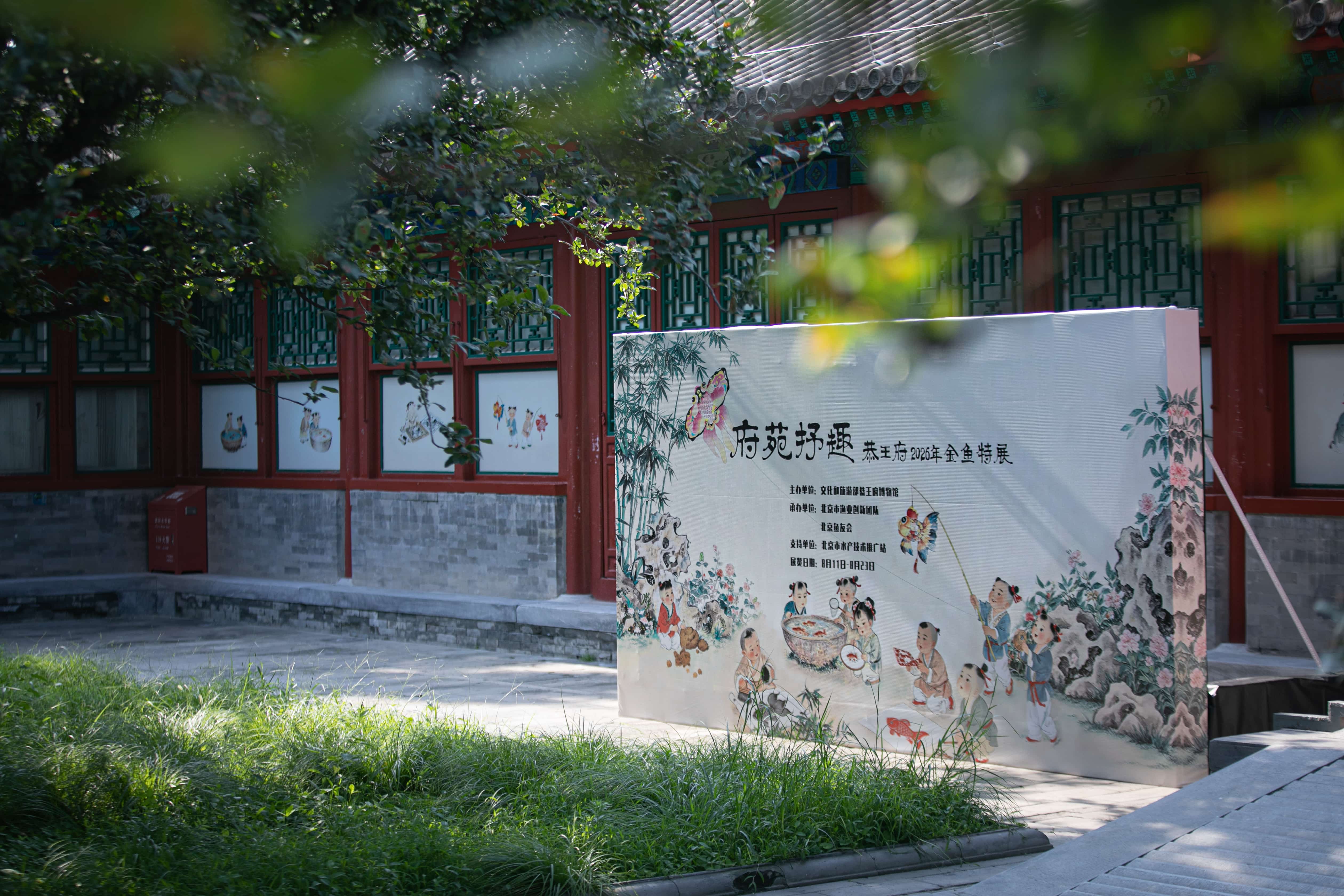 “府苑抒趣——恭王府2026年金鱼特展”启幕