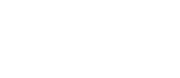 中国经济新闻网